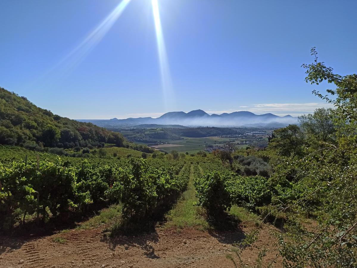 Alloggio La Perla, Quiete Ed Eleganza Con Vista Barbarano Vicentino Kültér fotó