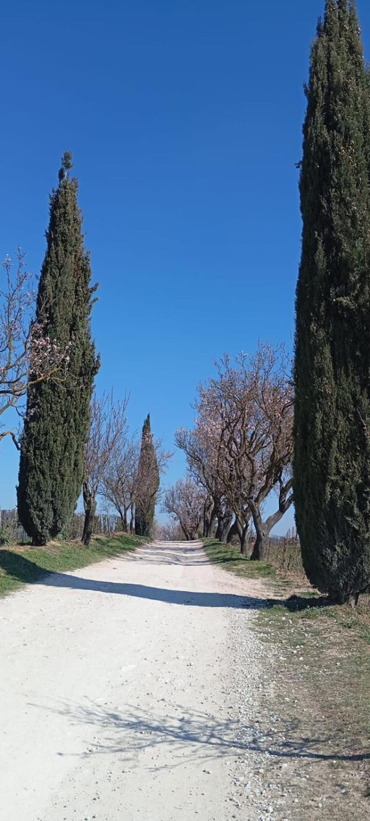 Alloggio La Perla, Quiete Ed Eleganza Con Vista Barbarano Vicentino Kültér fotó